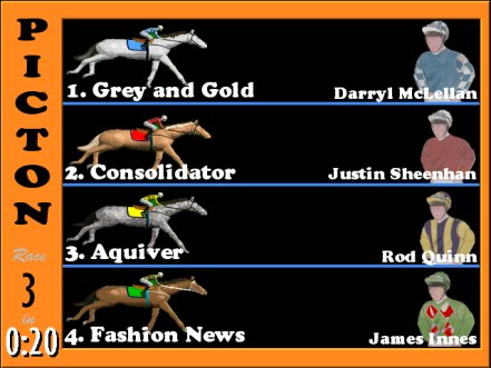 Racing Display Solutions